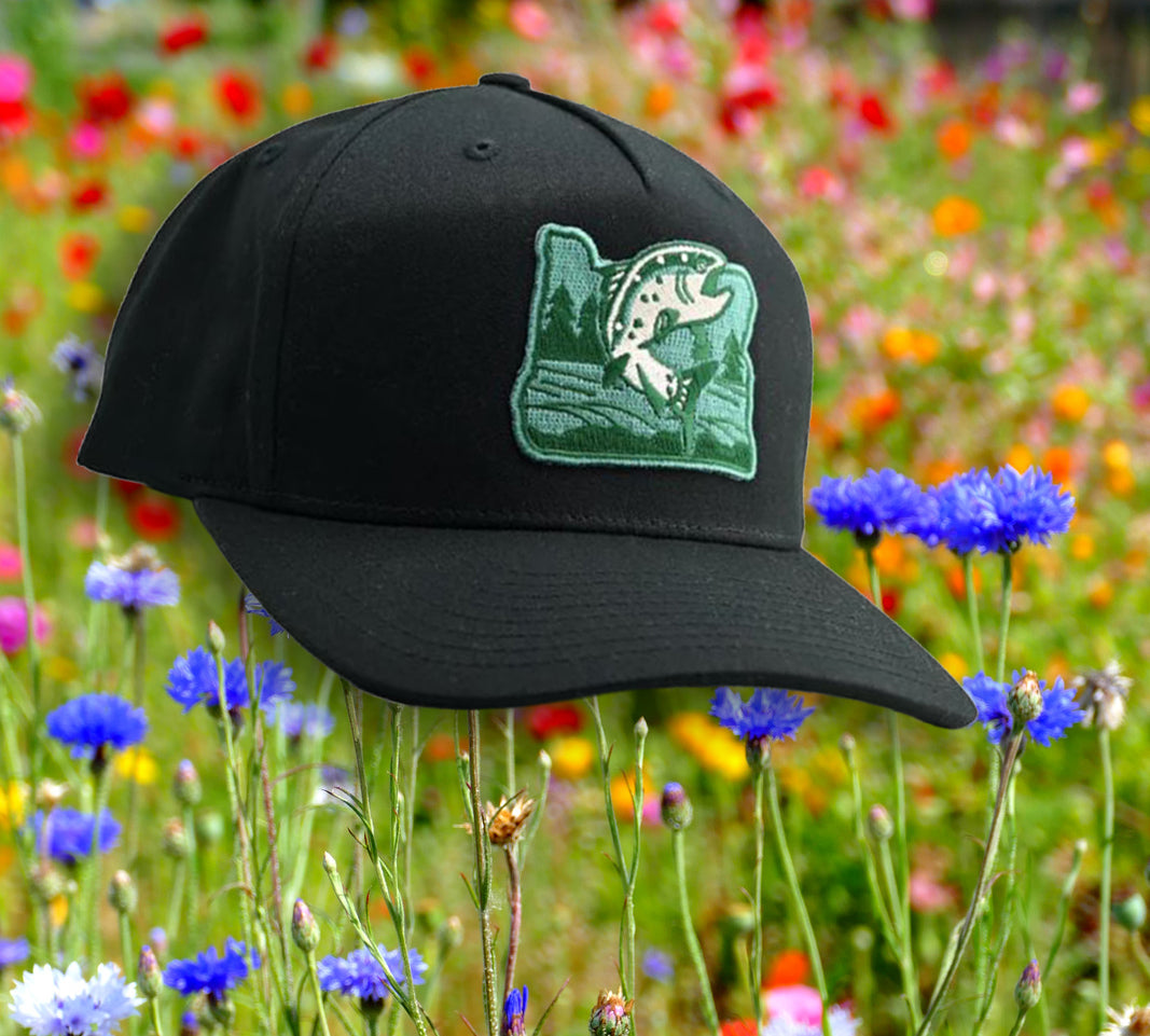 *Dads & Grads Special* Park Fan Membership