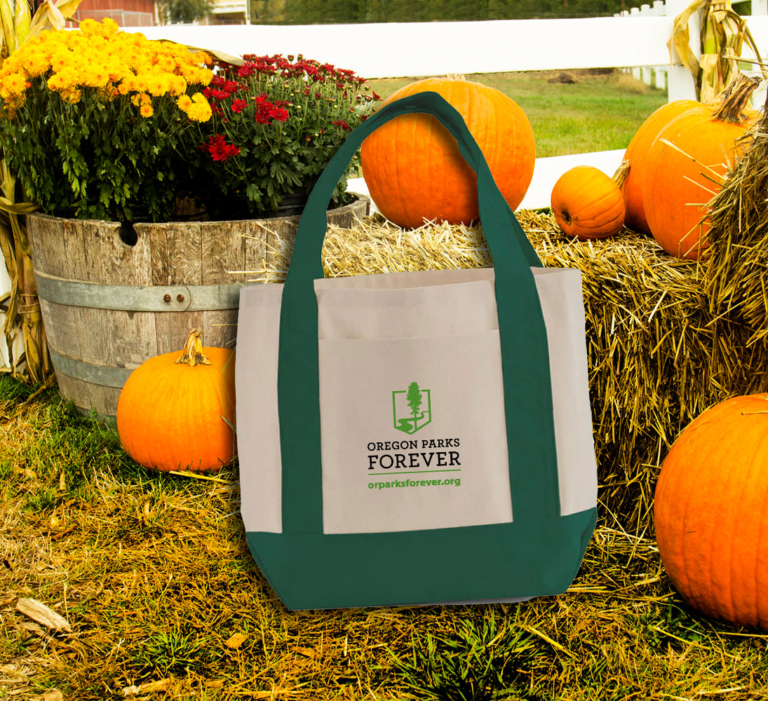 *SPECIAL* Green Friday - Park Fan Membership