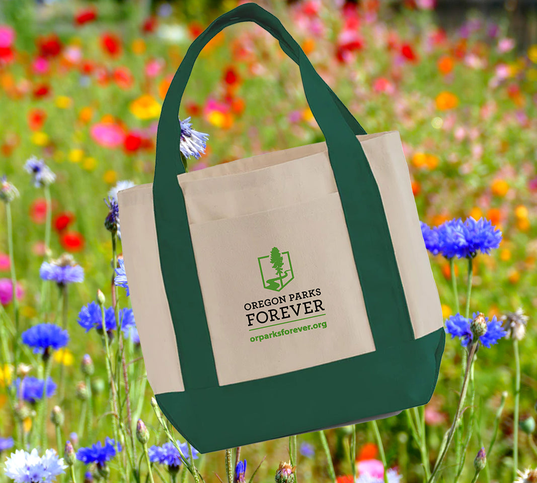 *Mother's Day Special* Park Fan Membership