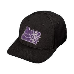 Camas Lily - Snapback Hat