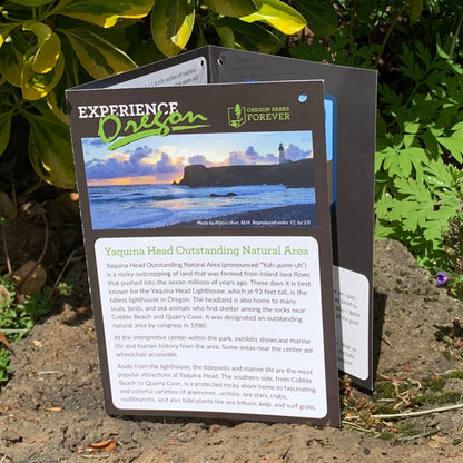 Experience Card & 4" Sticker - Yaquina Head