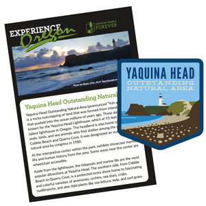 Experience Card & 4" Sticker - Yaquina Head